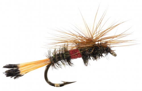 The Essential Fly Royal Coachman Parachute Fishing Fly